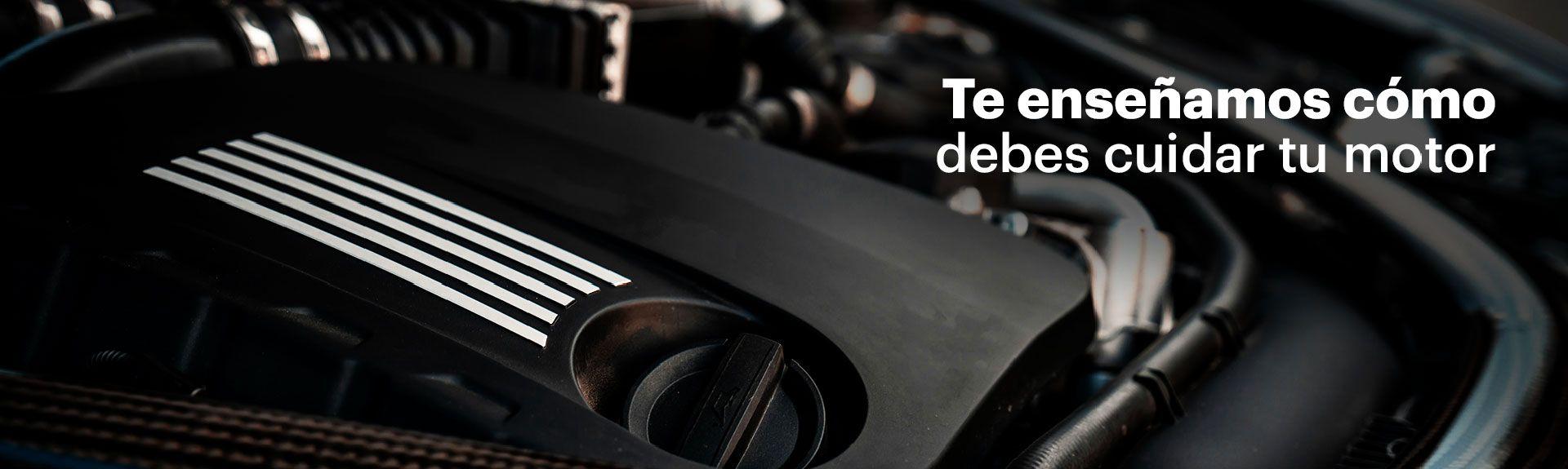 thumbnail placeholder