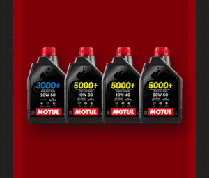 MT-28.02-thumb-300x256.png