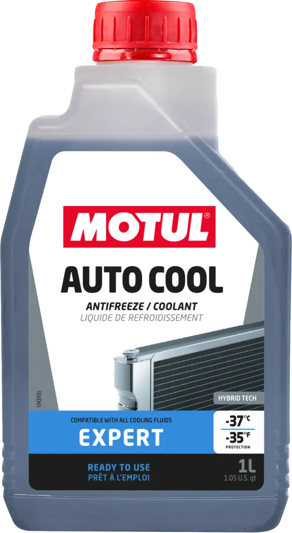 MOTUL motul
